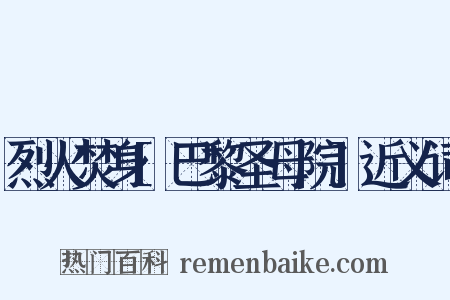 烈火焚身[巴黎圣母院]近义词是什么意思的图片